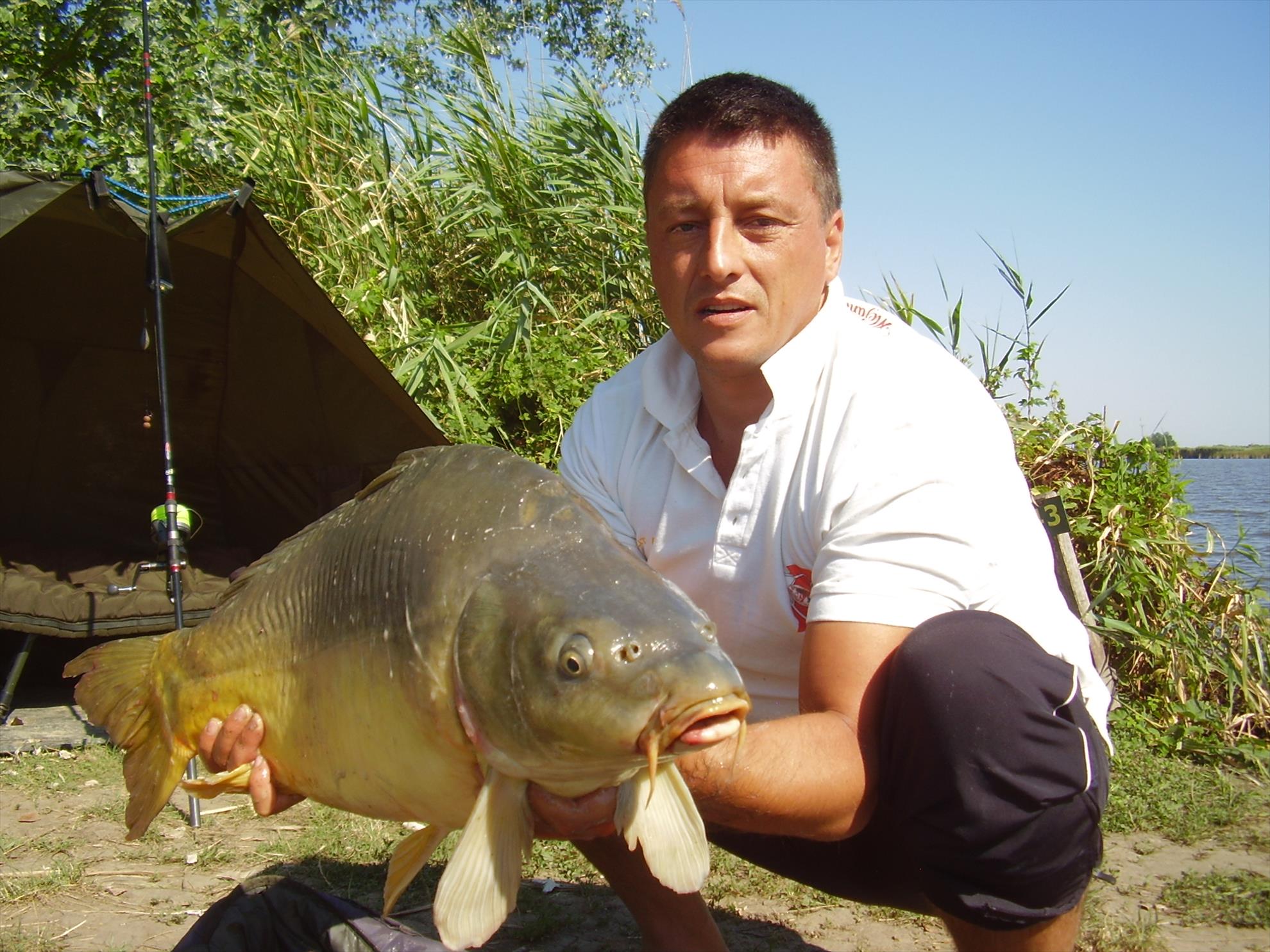 Alejandro Carp Team - Ohat Ungaria 2013 - p5070028.JPG